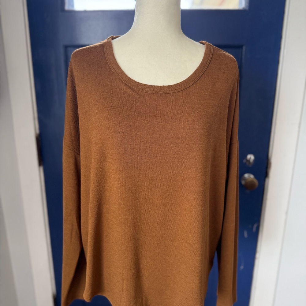 Time and Tru Cinnamon Knit Top